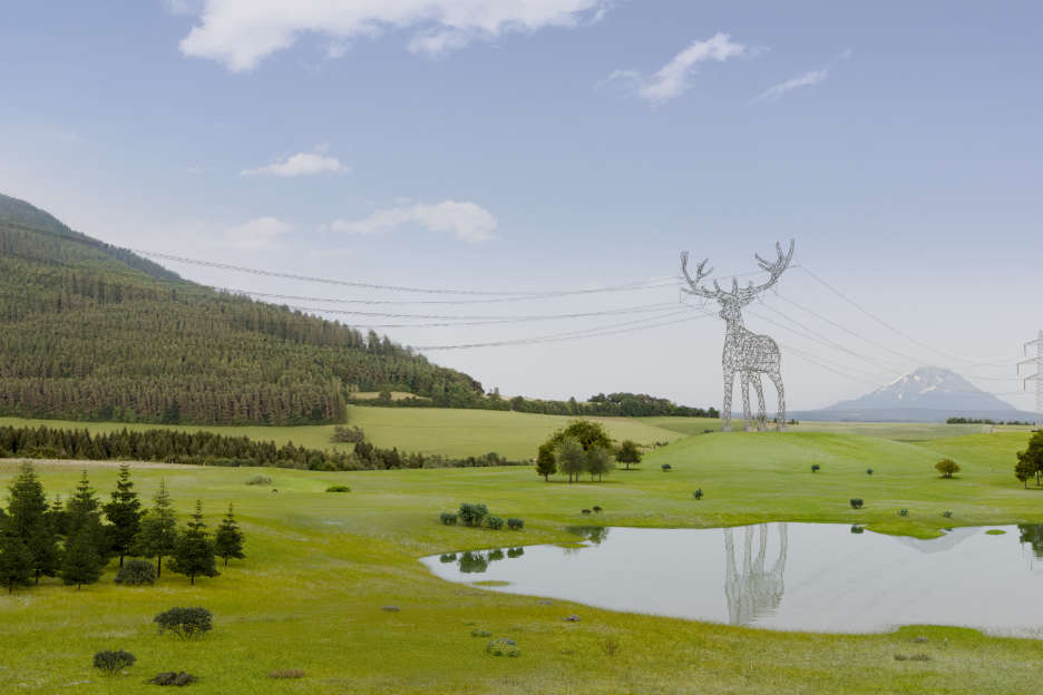Deer_distance.jpeg
