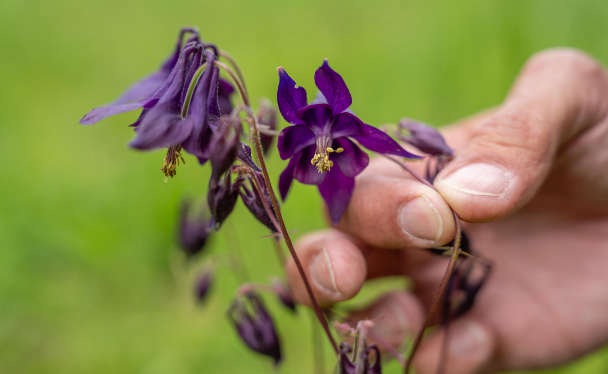 Vorträge und Exkursionen der APG-Naturschutztagung 2025