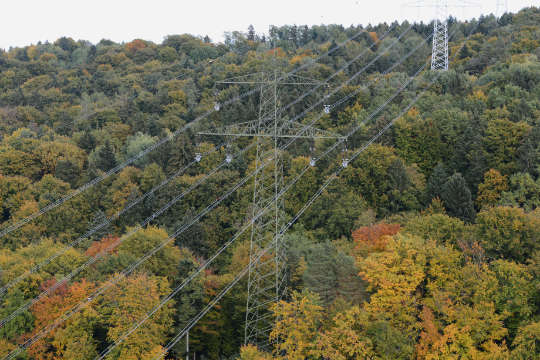 Ein Teil der Steiermarkleitung über einem Wald