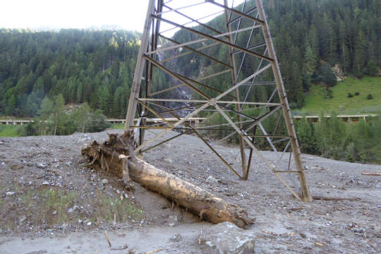 Baumstamm der einen Strommasten beschädigte